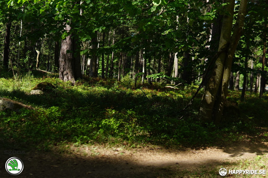Bild från Uppsala Bike Weekend 2018 Pearl Izumi MTB