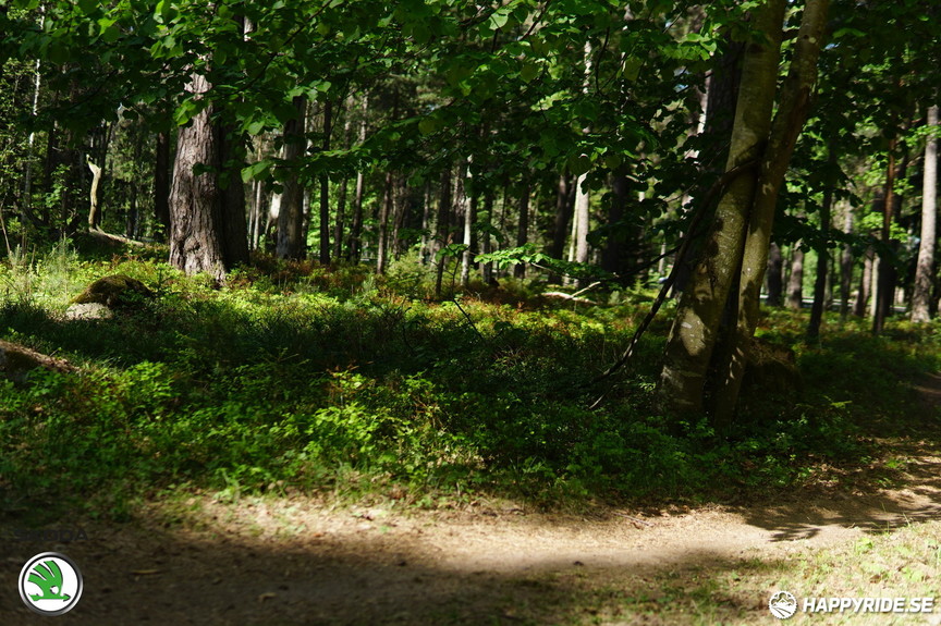 Bild från Uppsala Bike Weekend 2018 Pearl Izumi MTB