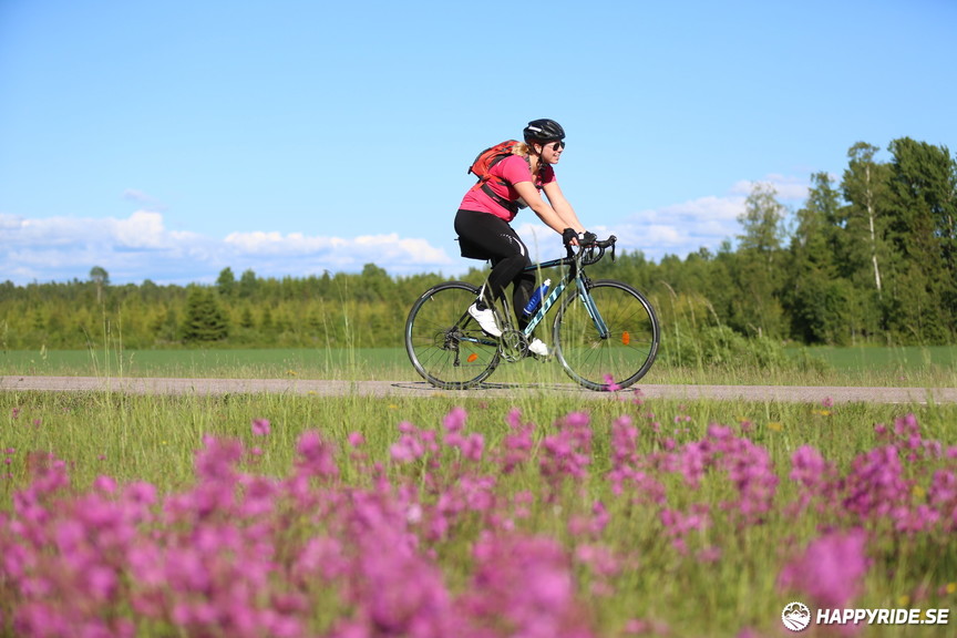 Bild från Vätternrundan 2017