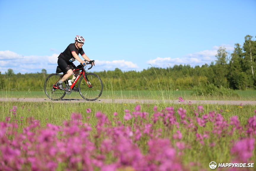 Bild från Vätternrundan 2017