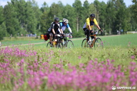 2017-06-17 14:05:32